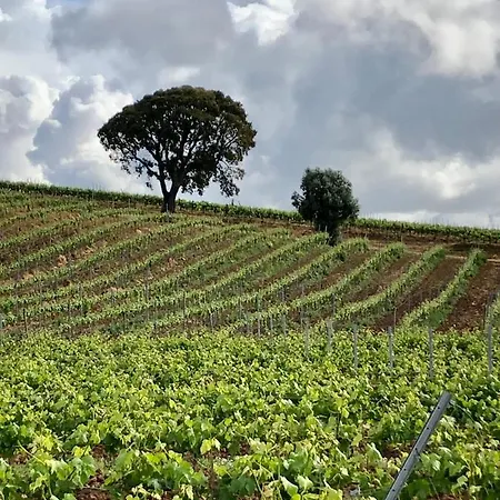 Casa Martins Country No5 Apartment *