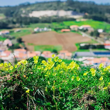 Apartment Casa Martins Country No5 *