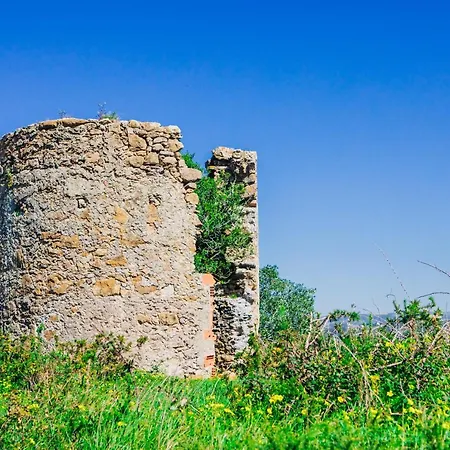 Casa Martins Country No5 * Freiria