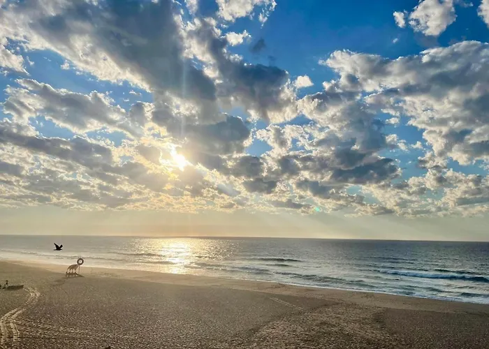 Appartement Casa Martins Country No5 Freiria