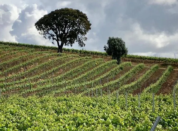 Casa Martins Country No5 Appartement *