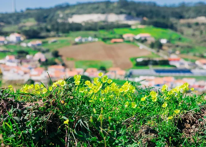 Appartement Casa Martins Country No5 *